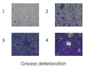 著細鐵和磁性磨損顆粒的增加,回轉(zhuǎn)軸承的惡化,第四張圖像顯示潤滑脂完全干燥